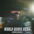 World Burns Down