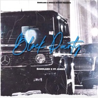 Block Party (feat. Picaso Famouz) - Single - BandLand