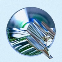 IWANTU. (Frank Sativa) (feat. Frank Sativa) - Single - Kevin Arturo