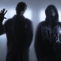 Fight or Flight - Single - Shaka Shams