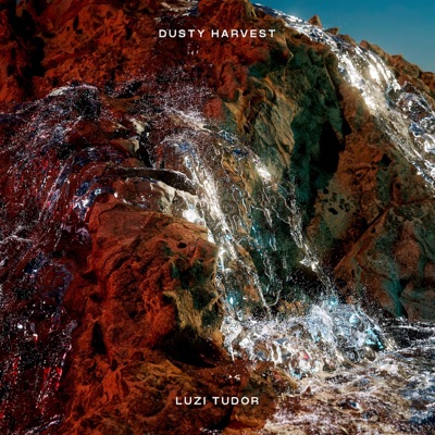 Dusty Harvest - Single