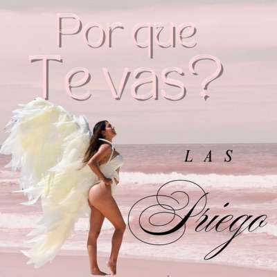 porque te vas - Single