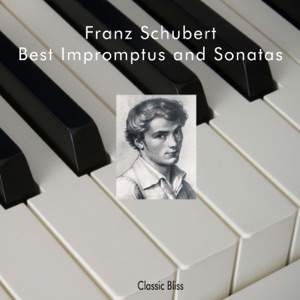 Sonata No. 2 in C major, D.279 pt.5