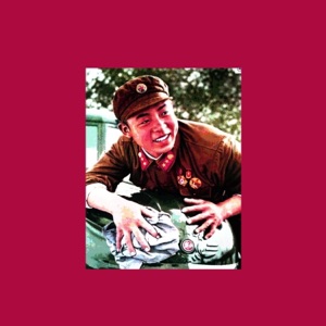 brotha lei feng theory