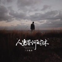 人生苦何时休 (DJ阿尼版) - Single - 万海东
