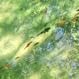 family (feat. wintfye & uptempo) rxi