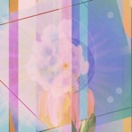 Lotus In Bloom - Single
