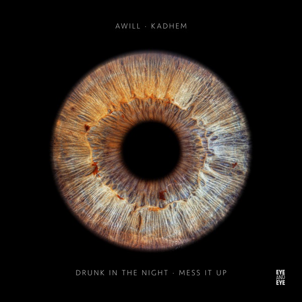 Drunk in the Night / Mess It Up - Single