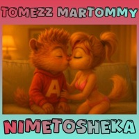 Nimetosheka - Single - Tomezz Martommy