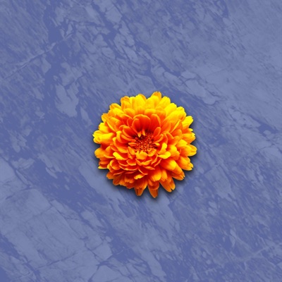 was ich brauch' (feat. M.Deux) - Single