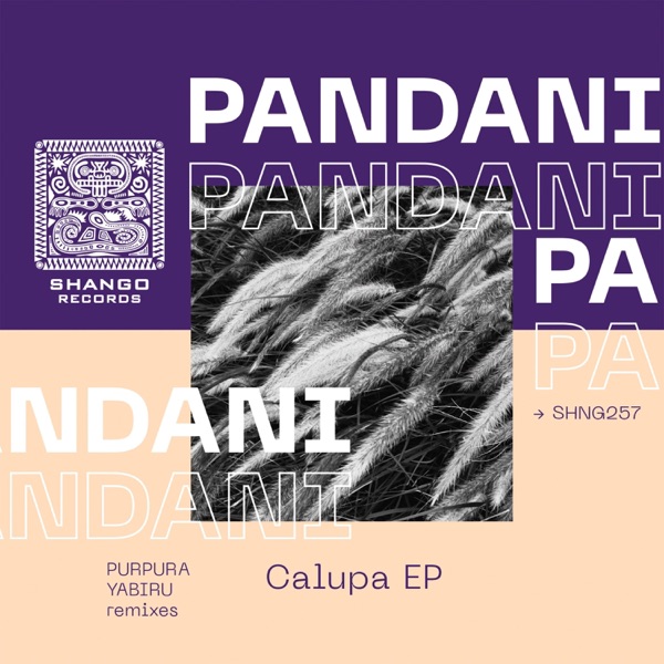 Calupa