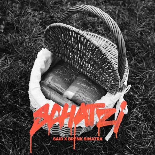 Schatzi - Single