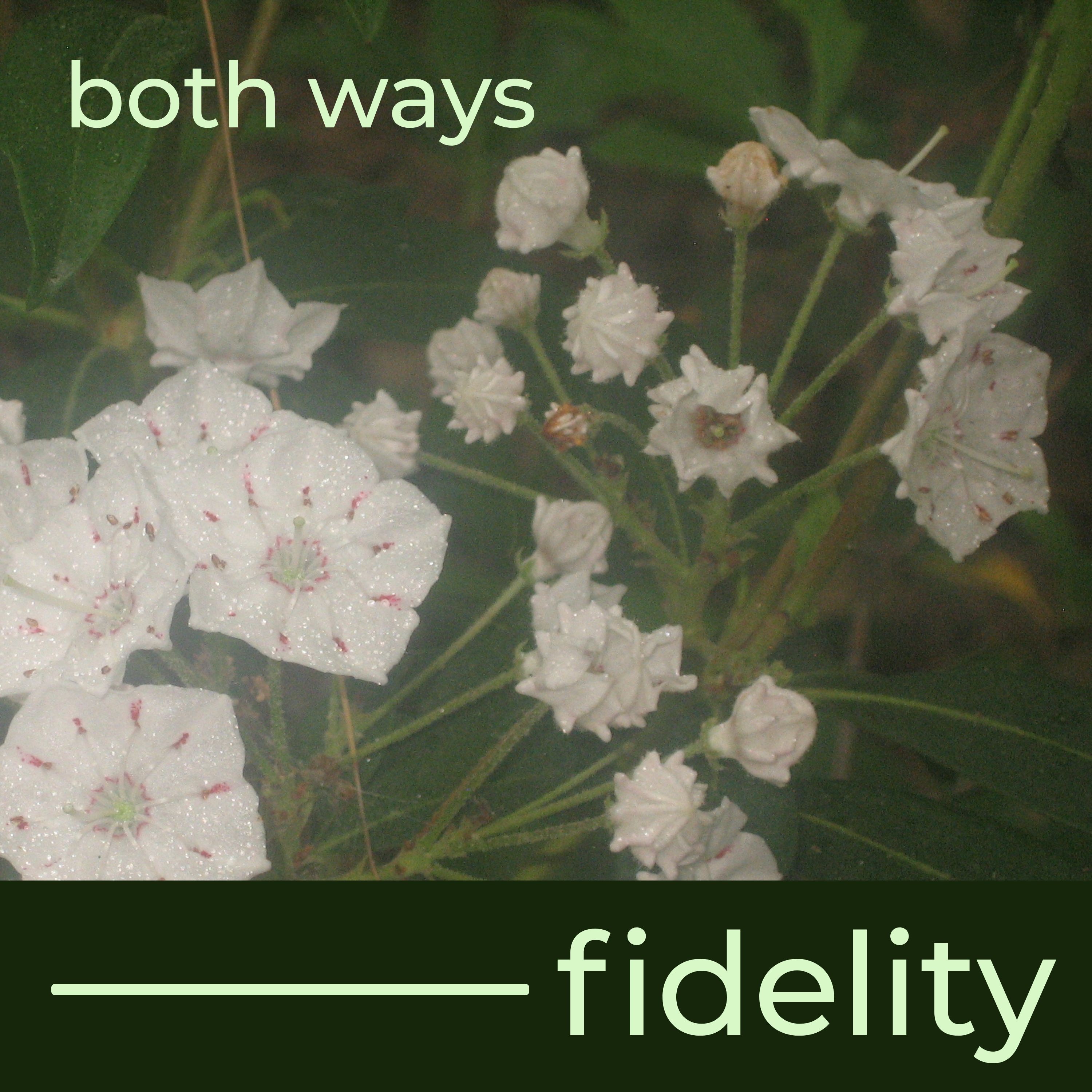 FIDELITY 7122 - ΛΙΓΑ ΓΡΑΜΜΑΤΑ ΣΚΙΣΜΕΝΑ - ΜΑΙΡΗ ΟΙΚΟΝΟΜΙΔΟΥ