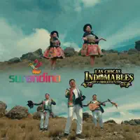 Mi momento mas humilde - Bótalo (Chicas Indomables Ft Surandino) — LAS CHICAS INDOMABLES DEL PERÚ
