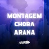 MONTAGEM CHORA ARANA - Single