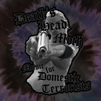 Music for Domestic Terrorists (feat. Death's Head Moth) - Single - Corpse Fairy