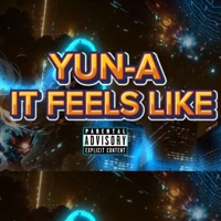 IT FEELS LIKE (Radio Edit) - Single - Yun-A