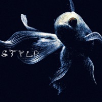style - Single - Tikkit