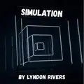 SIMULATION