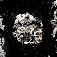 Volume VI - Manuel Gardner Fernandes