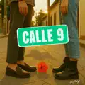 Calle 9