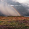 Ideal World - Single