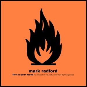 Fire in Your Mood - EP