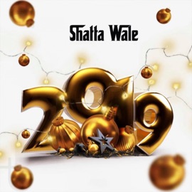 2019 (feat. Captan, Joint 77 & Addi Self) Shatta Wale