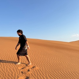 Одиночество FARZI