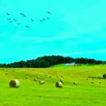 Pastoral Pt 1