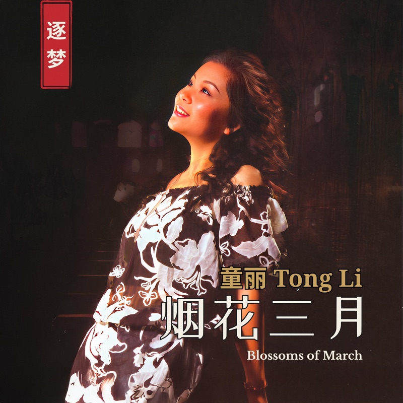 失戀追想曲- 童丽Tong Li: Song Lyrics, Music Videos & Concerts