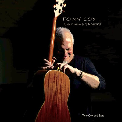 Enormous Flowers (Remastered 2025)