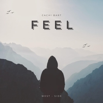 FEEL - Single
