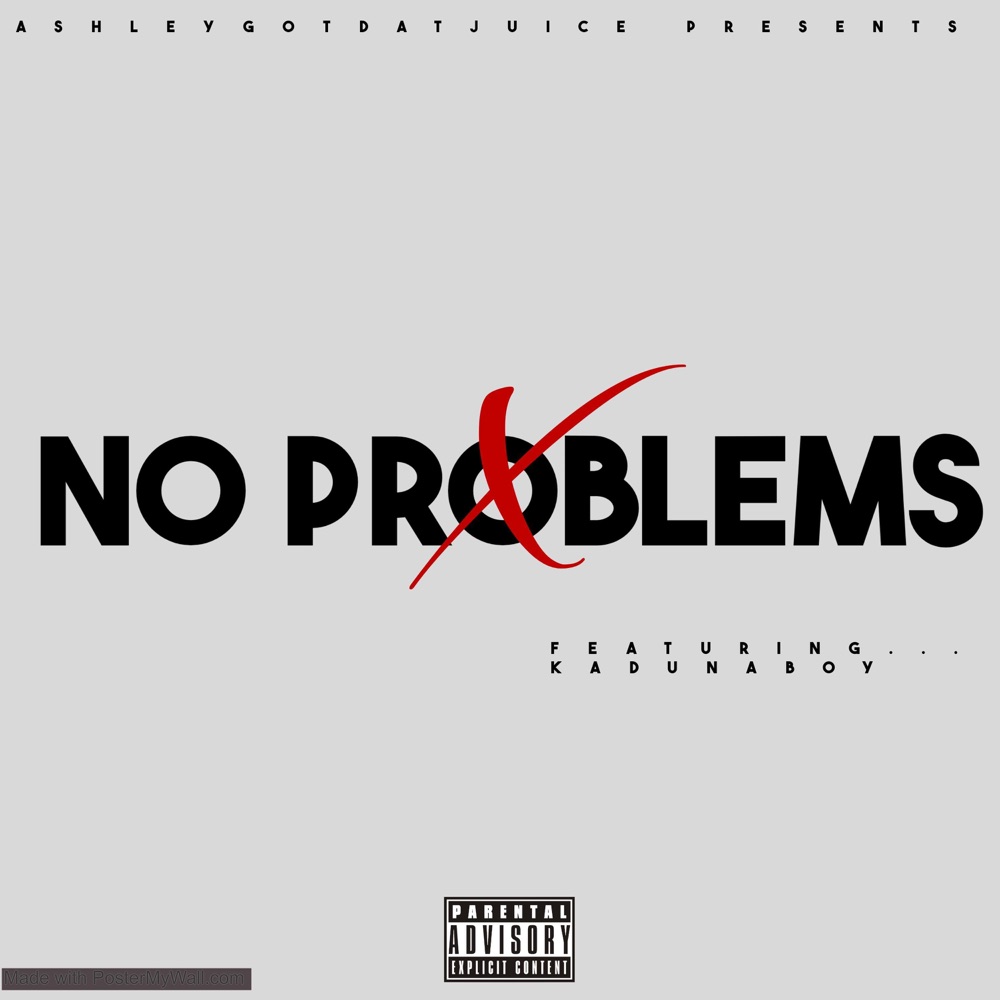 Обложка альбома «No Problems (feat. KadunaBoy) - Single» — AshleyGotDatJuice