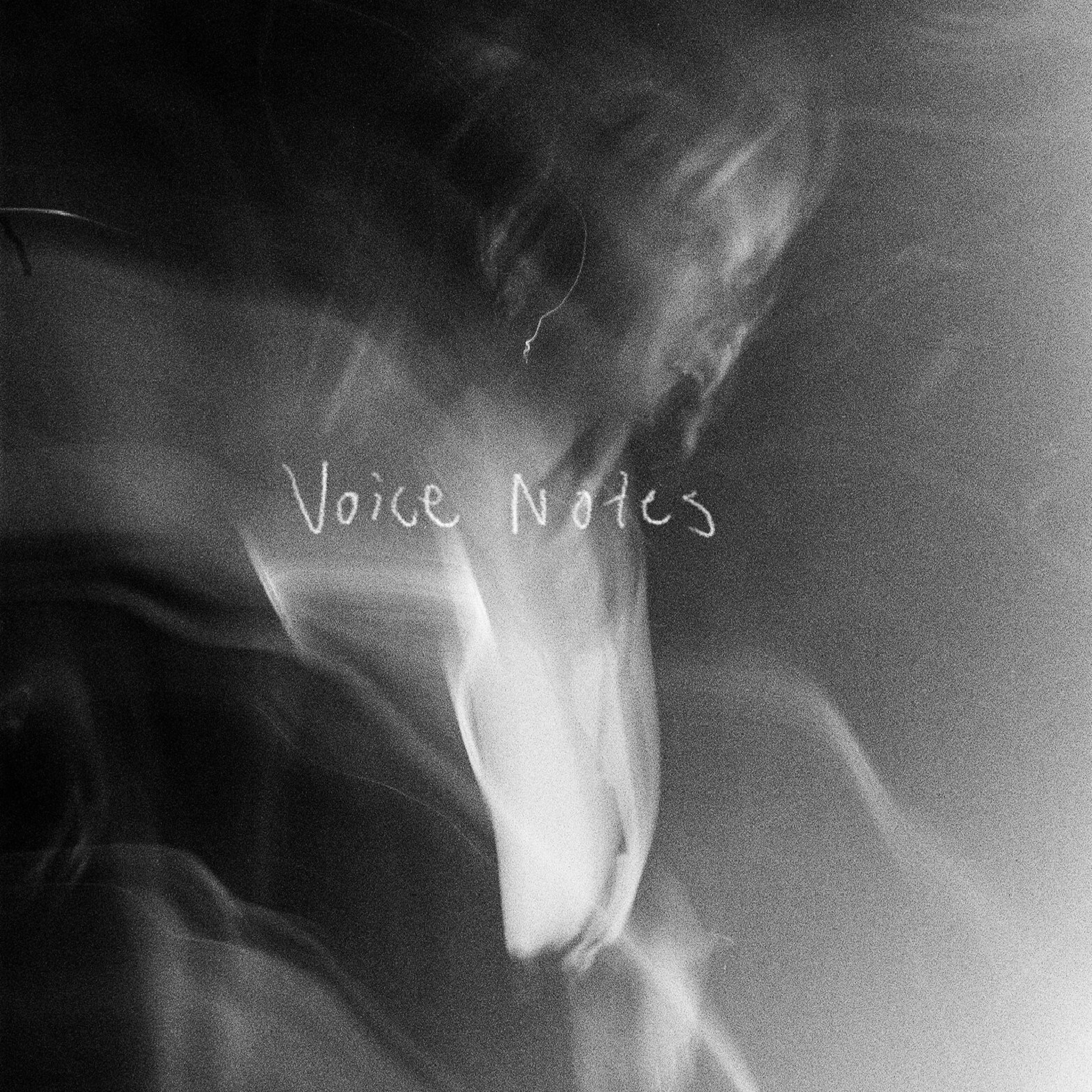 Voice Notes - EP