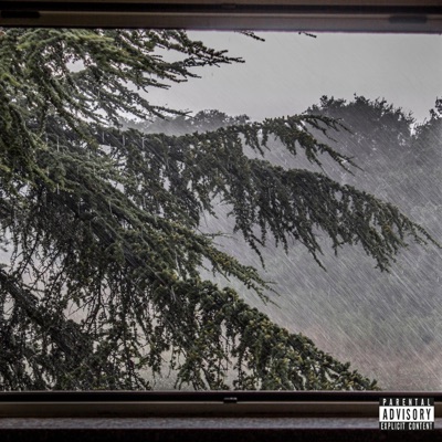 Rain in the Valley - Single