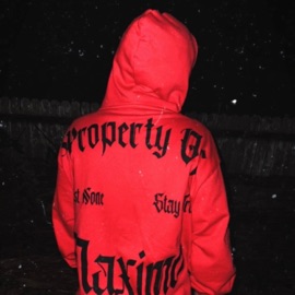 Thieves of the night FORREST BONES