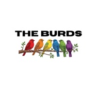 The Burds - Single - Spencer Laster