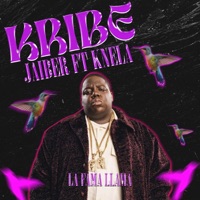 KRIBE - Single - Jaiber & Knella