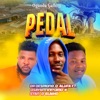 Pedal (feat. Osayantin N'omo & Stan D Elaiho) - Single