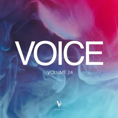 Ascolta 'Voice, Vol, 24' di Vanacore Music