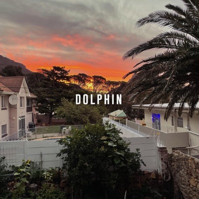 Dolphin - Single