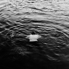 Gideon’s Charge (feat. KINGH) Shy FX & Mr. Williamz