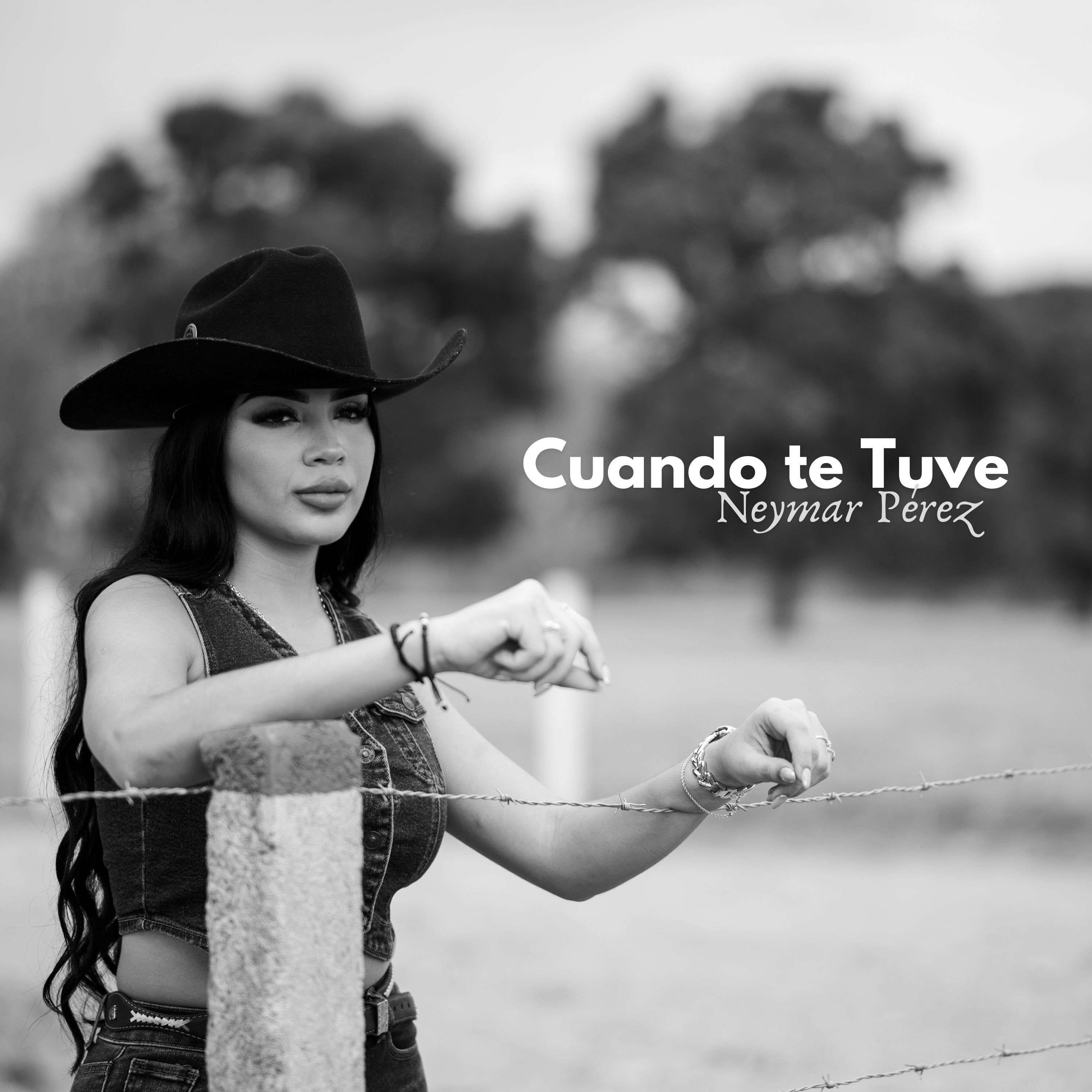Cuando te Tuve - Single