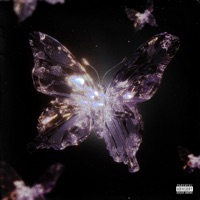 Lonely Night - Single - Berry Kush