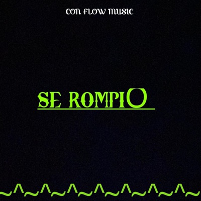 SE ROMPIO - Single