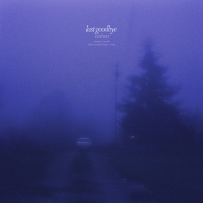 Last Goodbye (Slowed + Reverb) - Single