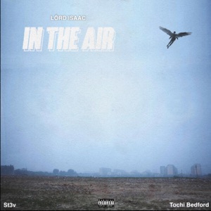 In the air (feat. St3v & Tochi Bedford)