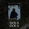 Dola Dola (Afotsum & DJ ErRemix Remix) [feat. ANGGA DERMAWAN] - Single