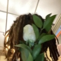 Me&U (feat. heyitskrypt) - Single - Veloris